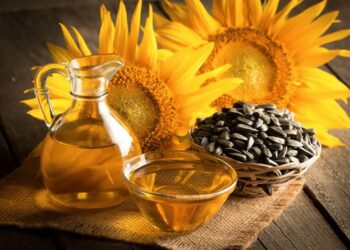 El girasol vuelve a ganar protagonismo