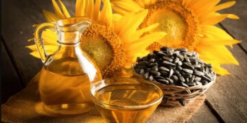 El girasol vuelve a ganar protagonismo