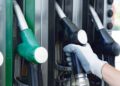 Biocombustibles: se incorporaron cambios para el biodiésel y el Senado tratará mañana la nueva ley