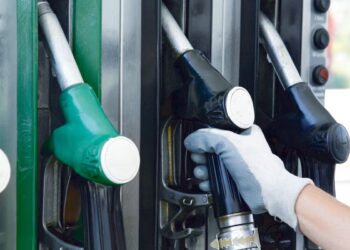Biocombustibles: se incorporaron cambios para el biodiésel y el Senado tratará mañana la nueva ley