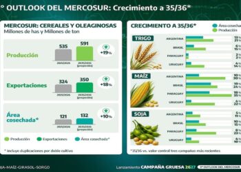 El Mercosur apunta a un salto productivo: proyectan 18,7% más cereales y oleaginosas hacia 2036