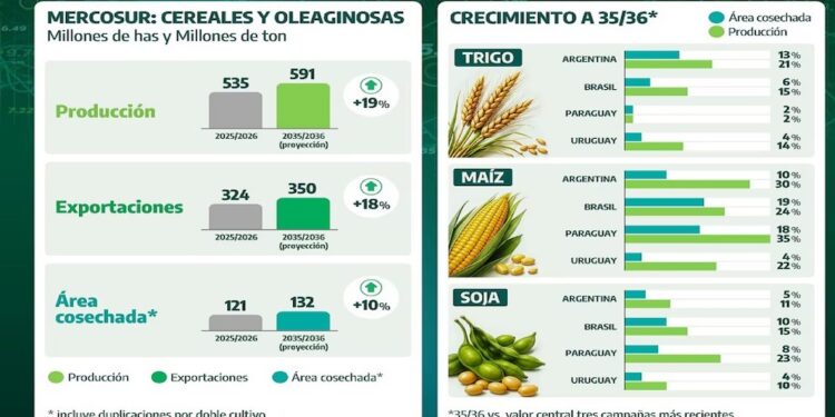 El Mercosur apunta a un salto productivo: proyectan 18,7% más cereales y oleaginosas hacia 2036