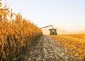 La actividad agropecuaria marca un récord en Argentina, impulsada por la cosecha histórica