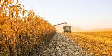 La actividad agropecuaria marca un récord en Argentina, impulsada por la cosecha histórica