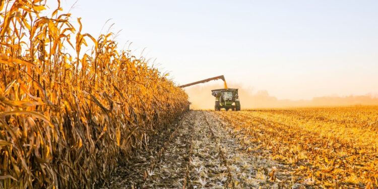 La actividad agropecuaria marca un récord en Argentina, impulsada por la cosecha histórica