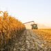 La actividad agropecuaria marca un récord en Argentina, impulsada por la cosecha histórica