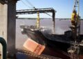 Año histórico: con el maíz más competitivo del mundo, las exportaciones de granos son récord