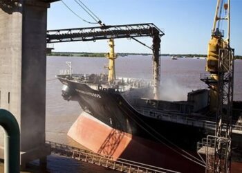 Año histórico: con el maíz más competitivo del mundo, las exportaciones de granos son récord
