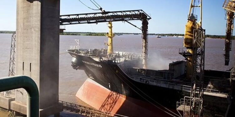 Año histórico: con el maíz más competitivo del mundo, las exportaciones de granos son récord