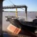 Año histórico: con el maíz más competitivo del mundo, las exportaciones de granos son récord