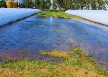 El Niño pone a prueba las silobolsas: las claves para evitar pérdidas durante las lluvias