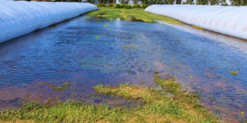 El Niño pone a prueba las silobolsas: las claves para evitar pérdidas durante las lluvias