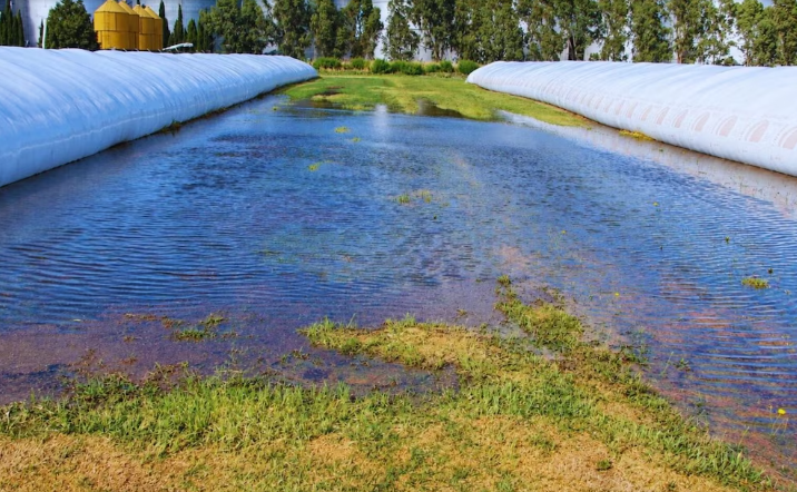 El Niño pone a prueba las silobolsas: las claves para evitar pérdidas durante las lluvias