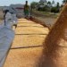 Exportaciones récord: el maíz argentino avanza a todo ritmo y domina el mercado mundial