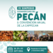 Cuenta regresiva para el IV Simposio Sudamericano del Pecán