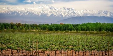 El Niño también impacta en Mendoza: la primavera lluviosa ya empieza a complicar a las fincas