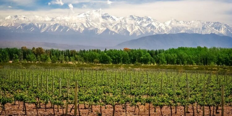 El Niño también impacta en Mendoza: la primavera lluviosa ya empieza a complicar a las fincas