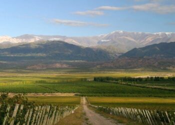 San Juan busca compatibilizar el boom del cobre con la producción de vino