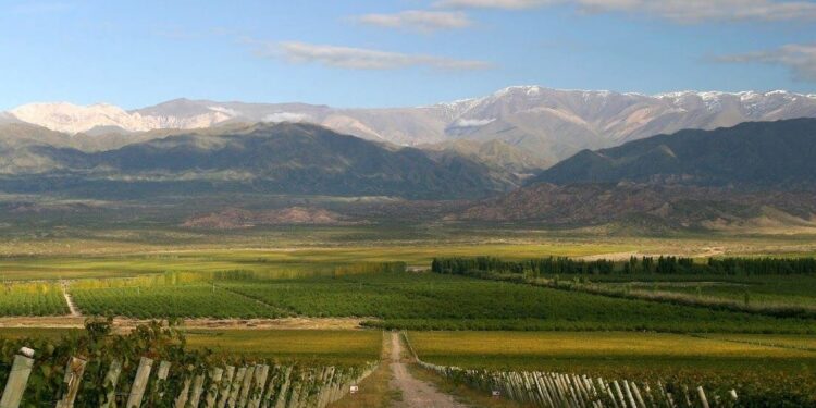 San Juan busca compatibilizar el boom del cobre con la producción de vino