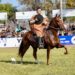 Arequipay: la pasión familiar por los caballos peruanos de paso que crece en Tucumán
