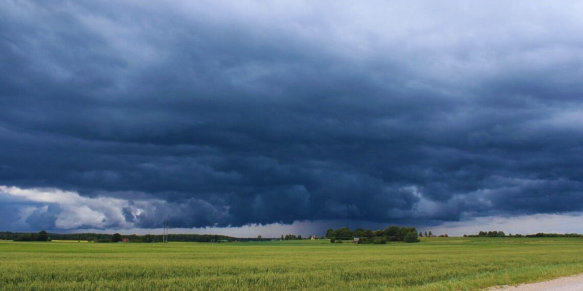 Lluvias en Tucumán: los registros de la EEAOC revelan fuertes diferencias entre zonas