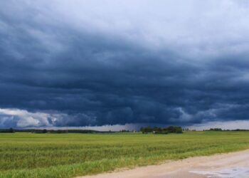 Lluvias en Tucumán: los registros de la EEAOC revelan fuertes diferencias entre zonas