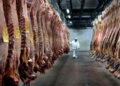 ¿Oportunidad para Argentina?: Brasil pierde fuerza en el mercado mundial de la carne vacuna