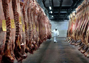 ¿Oportunidad para Argentina?: Brasil pierde fuerza en el mercado mundial de la carne vacuna