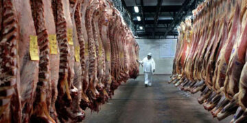 ¿Oportunidad para Argentina?: Brasil pierde fuerza en el mercado mundial de la carne vacuna