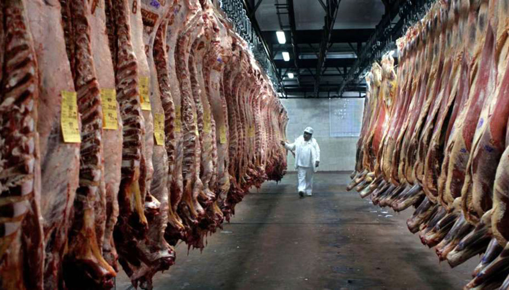 ¿Oportunidad para Argentina?: Brasil pierde fuerza en el mercado mundial de la carne vacuna