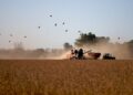 Retenciones, elecciones en Brasil y el nuevo escenario económico para el agro