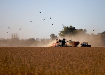 Retenciones, elecciones en Brasil y el nuevo escenario económico para el agro