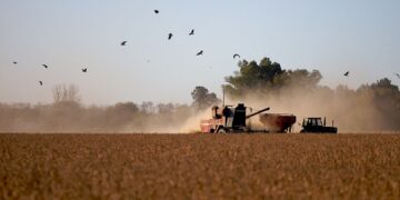 Retenciones, elecciones en Brasil y el nuevo escenario económico para el agro