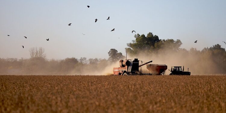 Retenciones, elecciones en Brasil y el nuevo escenario económico para el agro