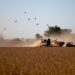 Retenciones, elecciones en Brasil y el nuevo escenario económico para el agro