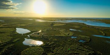 El valor oculto de los pastizales: el ecosistema que sostiene al campo argentino