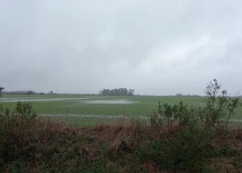 Alerta por lluvias y acumulados de hasta 70 milímetros: llegaría a los campos que no recibieron agua en las últimas semanas