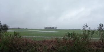 Alerta por lluvias y acumulados de hasta 70 milímetros: llegaría a los campos que no recibieron agua en las últimas semanas