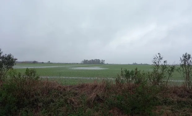 Alerta por lluvias y acumulados de hasta 70 milímetros: llegaría a los campos que no recibieron agua en las últimas semanas