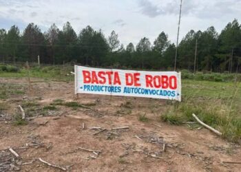 Vandalismo rural: el campo pide respuestas y penas más firmes