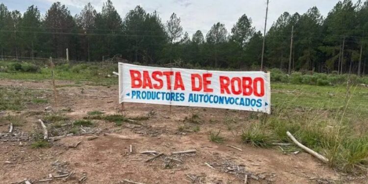 Vandalismo rural: el campo pide respuestas y penas más firmes