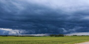 El Niño 2026-2027: el Gobierno habilitó una plataforma con alertas y recomendaciones para el agro