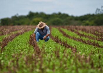 Estiman que, sin retenciones, el agro podría generar 850.000 puestos y reducir el desempleo a la mitad