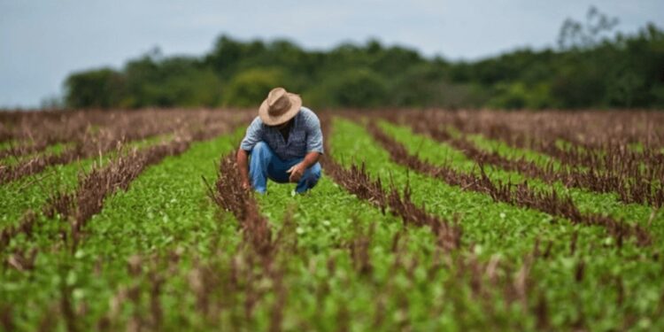 Estiman que, sin retenciones, el agro podría generar 850.000 puestos y reducir el desempleo a la mitad