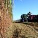 Zafra tucumana: las lluvias complican la cosecha y ponen en juego el cierre de campaña