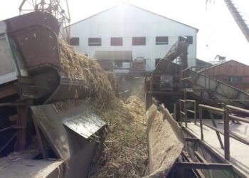 Sector sucroalcoholero: los números de la zafra argentina