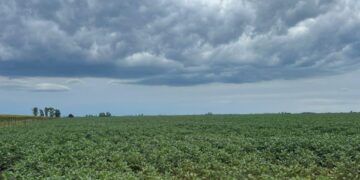 El estrés climático complica el cierre de la campaña invernal en Santiago del Estero