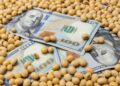 Producir granos en Argentina: los costos dejaron de ser la gran desventaja, pero hay una cuenta pendiente
