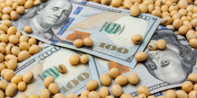 Producir granos en Argentina: los costos dejaron de ser la gran desventaja, pero hay una cuenta pendiente