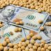 Producir granos en Argentina: los costos dejaron de ser la gran desventaja, pero hay una cuenta pendiente